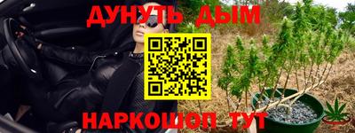 молекула духа Пыть-Ях