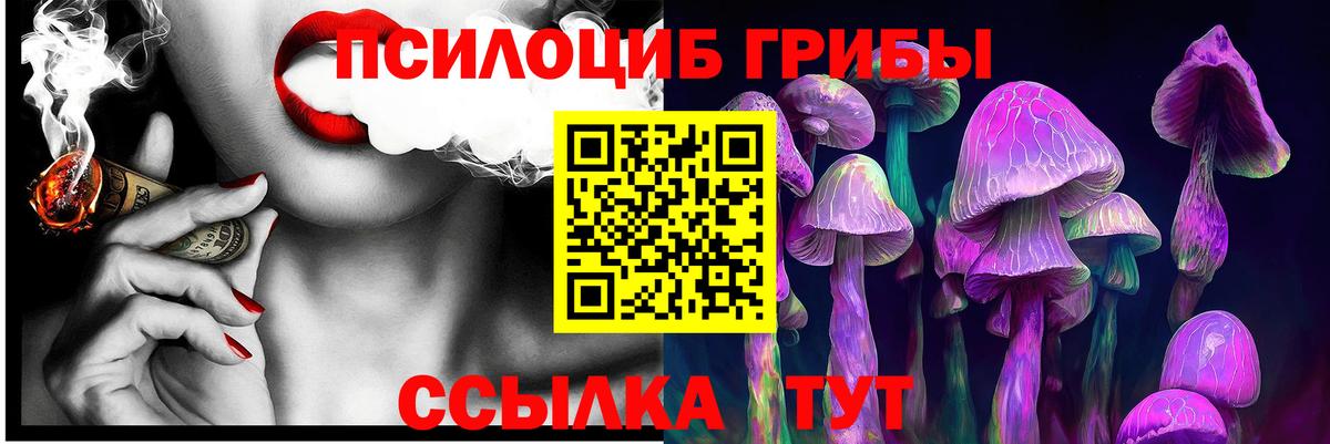 Галлюциногенные грибы Psilocybine cubensis Анжеро-Судженск