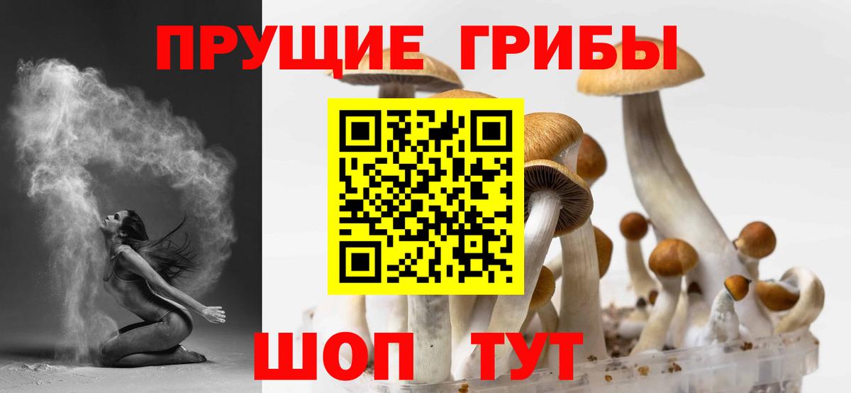 Псилоцибиновые грибы мухоморы  Псилоцибиновые грибы Psilocybe  закладка  Анжеро-Судженск  Вход с VPN 